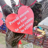 Cuore rosso appeso all’albero con testo in italiano: Prendi ancora se vuoi la mia libertà ti riflessa.