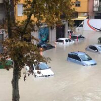Strada allagata con veicoli parzialmente sommersi, alti alberi e edifici circostanti, durante alluvione in quartiere urbano.
