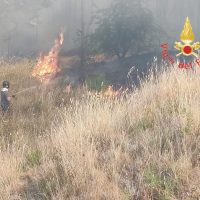 Veduta di un incendio boschivo con fiamme e fumo in presenza di erba secca e un vigile sullo sfondo, in una zona colonizzata da alti cespugli.