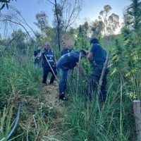 Uomini che lavorano in un prato verde, con attrezzi, in mezzo a erba alta e alberi, ambiente all’aperto