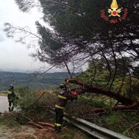 Udenti soccorso che rimuovono un albero caduto dalla strada dopo una tempesta, con guard rail piegato e fumo in lontananza.