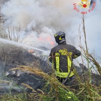 Vigili del fuoco in azione tra fumo e vegetazione, spegnimento incendio boschivo con equipaggiamento protettivo.