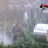 Scena di un giardino con piante; due persone in background vicino a una struttura, visibile fumogeno e veicolo in primo piano.