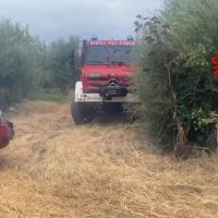 Autocarro rosso dallo sguardo imponente tra arbusti e sterpaglie, su strada di campagna polverosa.