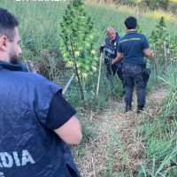 Tre agenti di polizia in uniforme, in cammino tra erba alta in un campo erboso, con uno sfondo verde e cespugli.