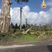 maltempo calabria 10-1-2026 (5)