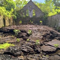 Antica rovina di pietre vulcaniche con vegetazione, in primo piano terreno scuro e roccioso, resti di edificio in fondo tra alberi