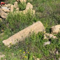 Scorcio di roccia e pietre sul terreno con vegetazione verde e fiori gialli nel contesto di un paesaggio naturale