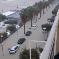 Veduta dall'alto su una strada di fronte al mare, alberi di palma allineati, veicoli parcheggiati e pedoni lungo il marciapiede.