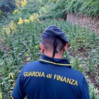 Back view of un ufficiale della Guardia di Finanza in uniforme blu, circondato da piante verdi e fiori gialli nel verde di un giardino.