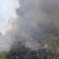 Fumo e sterpaglie in fiamme tra cespugli, visibile bruciare all’aperto in un’area boschiva