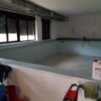 Foto di una piscina interna vuota in una stanza con pareti chiare, luce dalle finestre e attrezzi da lavoro lungo il bordo.