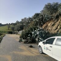 Strada di campagna con un’auto della polizia su un sentiero asfaltato, cespugli e alberi sullo sfondo, giornata soleggiata.