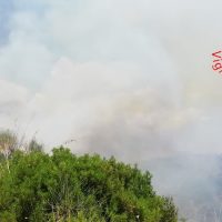 Veduta di alberi verdi sul margine inferiore, fumo e cielo azzurro dietro, suggestiva scena di incendio boschivo in lontananza.