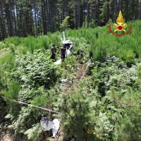 Anni, lavoro di detruzione: persone in un bosco verde, operai con attrezzi in mezzo a cespugli e alberi, atmosfera di lavoro all'aperto.