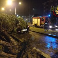 Auto schiacciata da un albero caduto su una strada bagnata, soccorsi presenti con autobotte di emergenza al fondo.