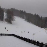 Pista da sci innevata e sciatori in discesa, bordi in legno lungo pendio boscoso, cielo grigio.