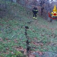 Escursionista in corsa tra alberi autunnali, terreno erboso e una fessura nel terreno. Atmosfera boschiva, leggera foschia.