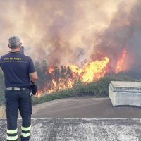 Pompiere in divisa osserva un incendio boschivo vicino a una barriera stradale, con fiamme e fumo tra le nuvole.