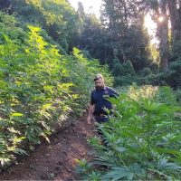 Uomo in giardino o frutteto tra piante verdi, al centro, in un ambiente boschivo soleggiato.
