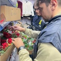 Uomo in divisa esamina fiori rossi in bancarella, sfondo mercato e clienti, attenzione ai dettagli floreali.