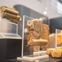 Biscotti e dolcetti secchi esposti su supporti trasparenti in una mostra culinaria, con sfondo sfumato e luci soffuse.