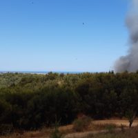 Paesaggio di macchia mediterranea con mare sullo sfondo e fumo visibile a destra, cielo sereno e colori vividi.
