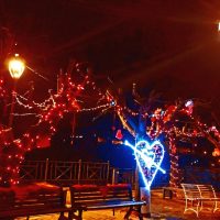Panchina illuminata da luci rosse ad alberi decorati, tema natalizio notturno, atmosfera caldo-ornamental.