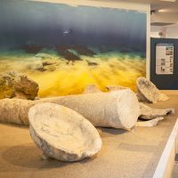 Sculture rotondeggianti in pietra bianca esposte su una superficie, con un murale marino sullo sfondo che richiama onde gialle e azzurre.