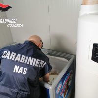 Carabiniere in uniforme esamina o evita contenuti in una piccola vasca refrigerata, sullo sfondo un frigorifero e pareti bianche.