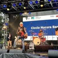 Concerto di una band su palco all’aperto, chitarrista al centro, batteria sullo sfondo, pubblico e luci colorate.