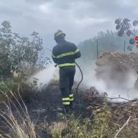 Vigile del fuoco in piedi tra fumo e rovi, spegne un rogo all’aperto in ambiente boschivo.