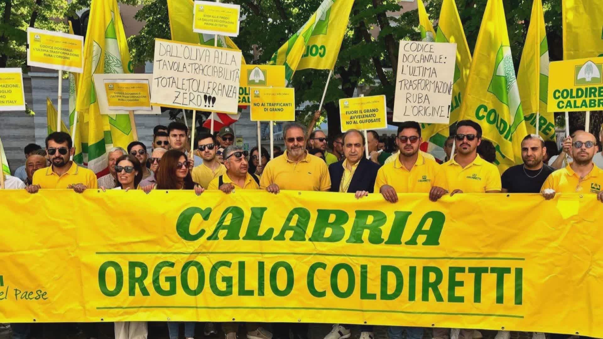 Protesta autotrasportatori, Coldiretti Calabria: “Positivi gli incontri con i prefetti”