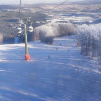 Immagine di una stazione sciistica con impianto di risalita e piste innevate circondate da alberi coperti di neve
