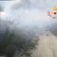 Veduta di una strada sterrata avvolta da fumo o nebbia, con vegetazione ai lati e cielo nuvoloso.
