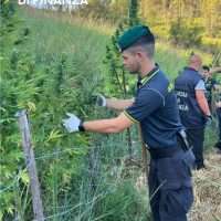 Uomo in uniforme da carabiniere apre una recinzione lungo una siepe verde, intento a rimuovere una barriera in un campo erboso.