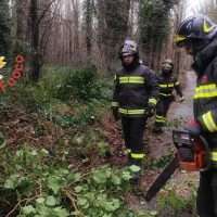 maltempo calabria 10-1-2026 (1)