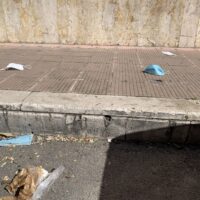 Strada e marciapiede con rifiuti, carta e un piccolo animale sul lato; luce e ombra dominano la scena.