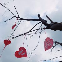 Rami spogli con cuori rossi pendenti, promemoria romantici tra cielo azzurro e nuvole leggere.