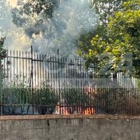 Barriera metallica con piante, fiamme e fumo visibili oltre il muro, scenario di incendio controllato in spazi urbani, luce dorata tra alberi.