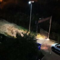 Strada illuminata di notte con lampione alto, siepi e un veicolo parcheggiato sul lato sinistro.