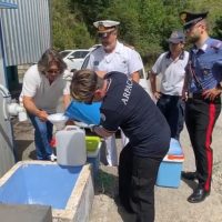 Operatori e agenti di polizia partecipano a una dimostrazione all’aria aperta: controllo, contatto con cittadini e attività educativa in un contesto urbano.