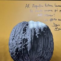 Una zucca blu-grigia con riflessi e nervature prominenti su sfondo giallo, scritte a mano in alto.