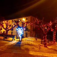 Viali illuminati con alberi decorati di luci rosse e blu, panchine e pavimentazione innevata in una scena notturna.