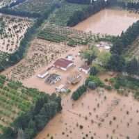 Veduta aerea di un terreno agricolo con olivi, vigneti e aree boschive circostanti; presenza di edifici e strade interne.