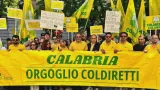 Protesta autotrasportatori, Coldiretti Calabria: “Positivi gli incontri con i prefetti”