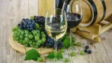 Vendemmia 2026, meno vino in Italia: la Calabria punta sulla qualità
