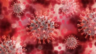 Coronavirus, un nuovo caso positivo in Calabria: è legato al focolaio di Palmi
