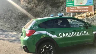 Aveva nell'auto fringuelli ed altri uccelli morti: denunciato 69enne nel Reggino