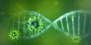 Coronavirus, 19.143 nuovi contagi in Italia: i dati del Ministero della Salute